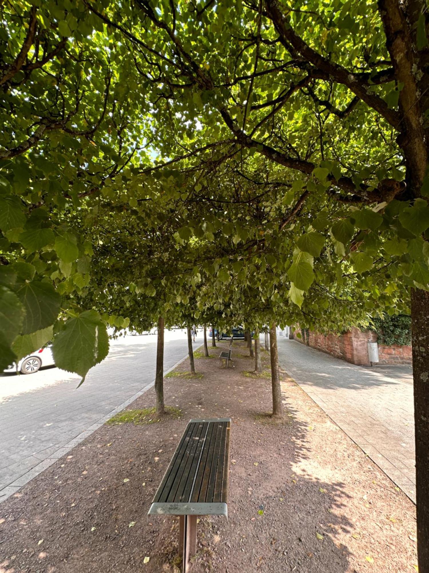 Amao-Brown I Exklusives City-Apartment I 85Qm I Privatparkplatz & Komfort I King-Size Bed Lahr  Eksteriør billede